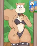 [Usnarbit] Sandy Cheeks (Spongebob Squarepants)