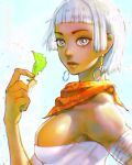 [Quasimodox, Wallace Pires] Akuma & Elena (Street Fighter 6)