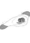 [Shioji] Dekkai Shiri no Hitozuma to Asa made Yarimakutta Hanashi [English] [mysterymeat3]