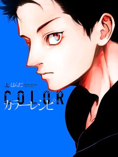 Color Recipe Vol 1