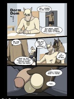 Dorm Dom - Meesh