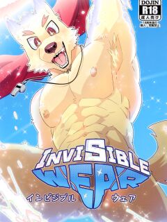 (Kemoket 14) (Nikunabe) Invisible Wear
