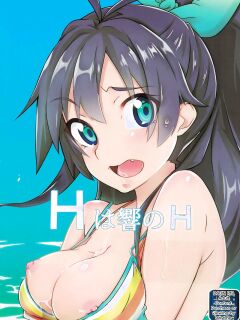 (C88) [Saba DOWN (Sabakui)] H wa Hibiki no H (THE iDOLM@STER) [MTL]