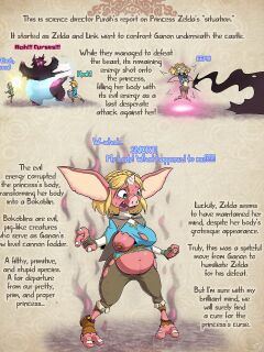 [Toby (TobyArt)] The Bokoblin Princess